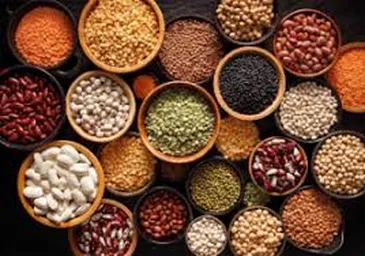 Seeds Supplier